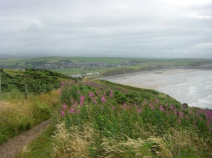 view from Walk looking back at St. Bees